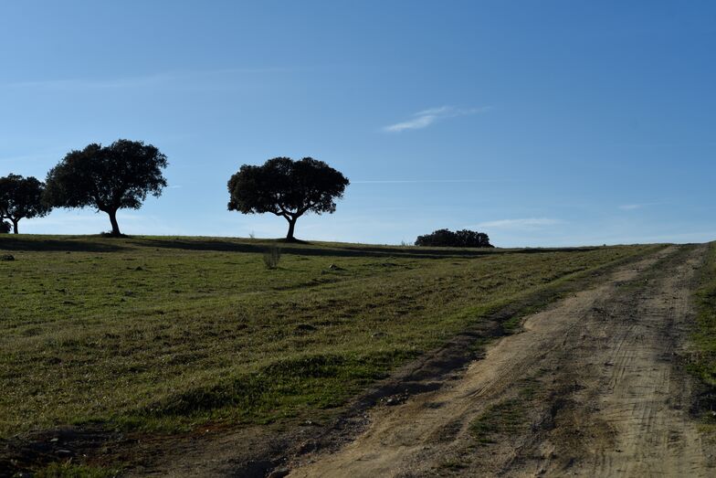 Agricultor de Elvas na verdade não é dono de nada