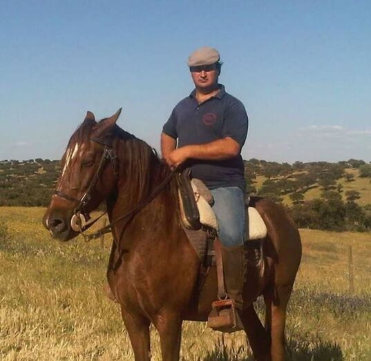 francisco tomé, quem quer namorar com o agricultor